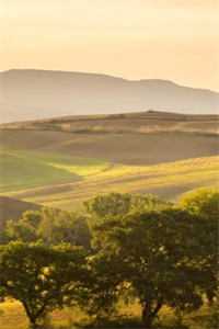 宗锦澄徐婉穿越后她在府山开班了