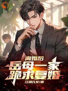 ***后，岳母一家跪求复婚苏辰李婉兮完整篇在线阅读