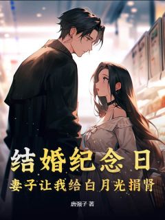 《周慕青叶飞》结婚纪念日，妻子让我给白月光捐肾全文精彩试读