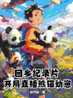 《叶辰熊猫》小说全文精彩阅读_回乡纪录片：开局直播熊猫幼崽小说全文