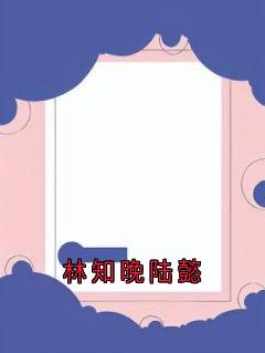 陆懿林知晚全文免费阅读(林知晚陆懿)_完结版