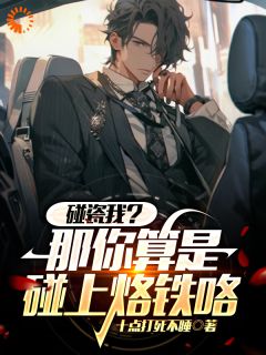 《苏幕大牛》小说大结局在线阅读_直播:职业挑战,开局网约司机小说阅读