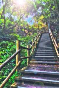 白月光回归,合约妻子和我离婚了