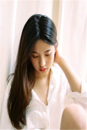 盾卫陈风免费阅读小说