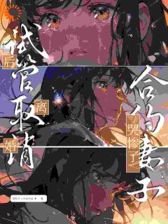 《你说解除合约，干嘛求我回去》小说全文免费试读_陆洲秦浅浅小说阅读