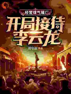 主角是经营煤气罐厂，开局接待李云龙的小说_《林霄李云龙》_全文在线阅读