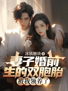 《白俊柳菲》小说大结局精彩阅读_妻子婚前生的双胞胎被我领养了小说全文