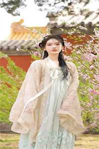 九皇子：开局推到女皇妃