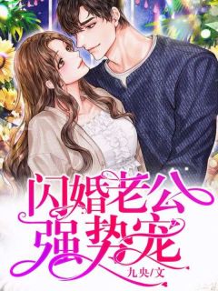 《闪婚老公强势宠》小说大结局在线试读_叶向晚陆晋南小说全文