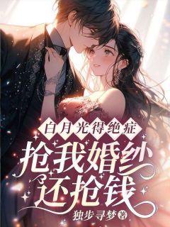 《江晚苏盛临》白月光得绝症，抢我婚纱还抢钱？章节列表免费阅读