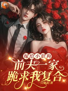 嫁给小狼狗：前夫一家跪求我复合完整版全文阅读_苏回心楼庭乾小说_大结局