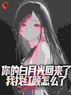 《江云陈芸》小说章节目录在线试读_妻子的白月光回来后，我走哭什么小说全文
