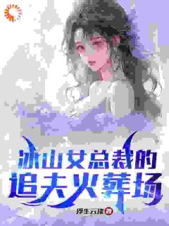 《冰山女总裁的追夫火葬场》小说免费试读_《冰山女总裁的追夫火葬场》最新章节列表