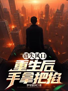 陈国泰陈国梅错失风口：重生后手拿把掐目录_陈国泰陈国梅小说阅读