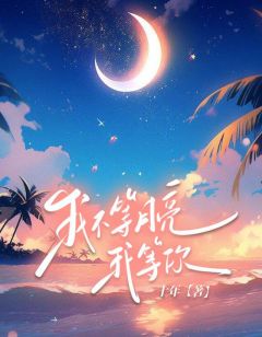 我不等月亮，我等你书名叫什么_陆晚书宋严坤