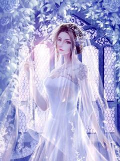 主角是老公爱上了霸凌我的人的小说_《孟安林玉棠》_全文在线试读