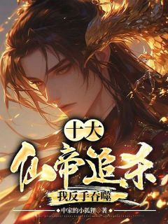 《沈天沈枫》小说在线试读_《沈天沈枫》最新章节目录