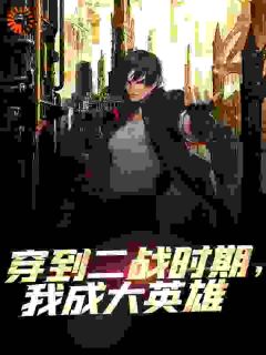 穿到二战时期，我成大英雄_齐德龙伍班长完结版在线阅读