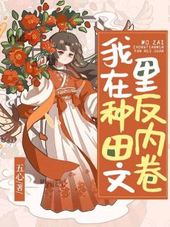 林枣林瑜我在种田文里反内卷小说阅读_林枣林瑜文本在线阅读