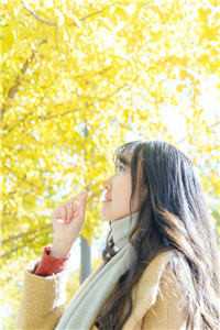 入京待嫁,未婚夫却娶了冒牌千金