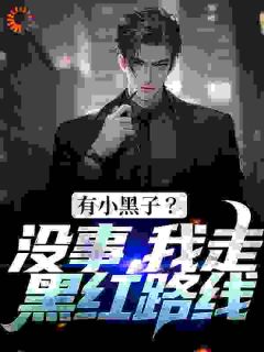 叶枫何灵小说阅读_第4章