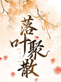 《苏落沈夜》落叶聚散章节目录免费阅读