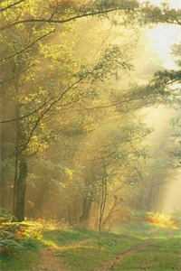 欢情已化作残云断雨