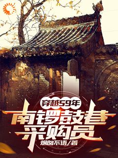 李涛李二娃精彩章节小说免费试读***_主角穿越59年，南锣鼓巷采购员