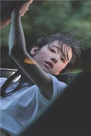 开局被逮捕，反手拍出树先生