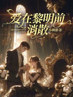 爱在黎明前消散沈念心林与琛免费在线免费试读