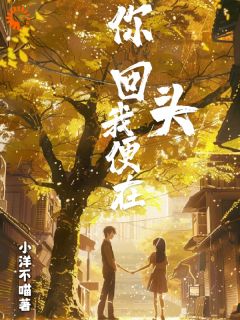 《你回头,我便在》小说全文精彩章节免费试读(周晚清谢南洲)