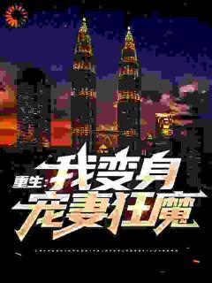 《林峰李婉》小说全文免费试读_重生：我变身宠妻狂魔小说阅读