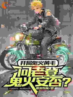 《开局鬼火黄毛，问老登鬼火安否？》陆野冉然然章节目录在线阅读