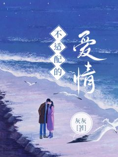 完整版《不适配的爱情》赵云婷顾明全文免费阅读