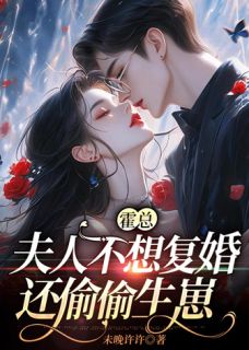 《霍总，夫人不想复婚还偷偷生崽》小说章节列表在线试读_乔可星霍战辰小说阅读