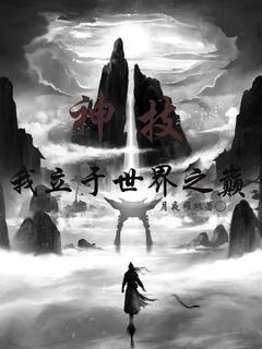 《王叶白夜》小说在线阅读_《王叶白夜》最新章节目录