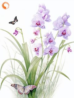 《云婉白秋心》小说章节精彩阅读_快穿：我的宿主胆小又幸运小说阅读