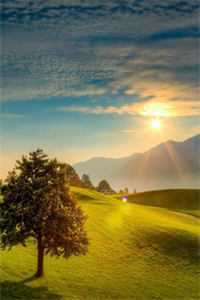 开局替嫁死人,卦妃成京城团宠