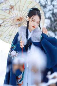 说尽平生意